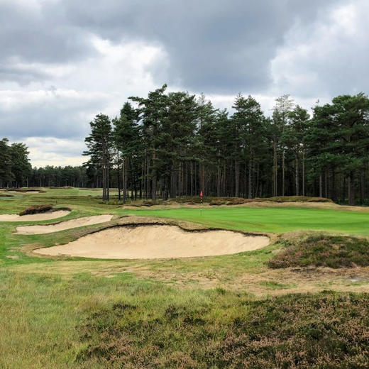 英格兰史温利森林高尔夫俱乐部 Swinley Forest Golf Club| 英国高尔夫球场 俱乐部 | 欧洲高尔夫  | 世界百佳 商品图0