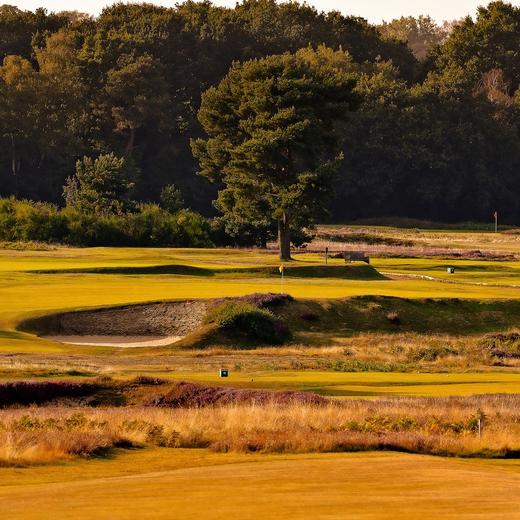 英格兰沃顿希思高尔夫俱乐部 Walton Heath Golf Club| 英国高尔夫球场 俱乐部 | 欧洲高尔夫  | 世界百佳 商品图8