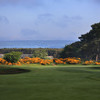 英格兰甘顿高尔夫俱乐部 Ganton Golf Club| 英国高尔夫球场 俱乐部 | 欧洲高尔夫  | 世界百佳 商品缩略图5