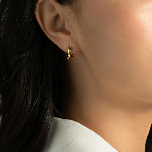 「 玉猪龙」耳饰 商品图2