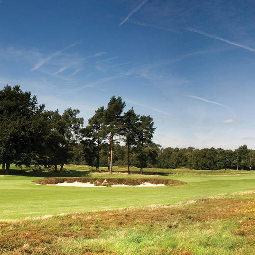英格兰沃顿希思高尔夫俱乐部 Walton Heath Golf Club| 英国高尔夫球场 俱乐部 | 欧洲高尔夫  | 世界百佳 商品图3