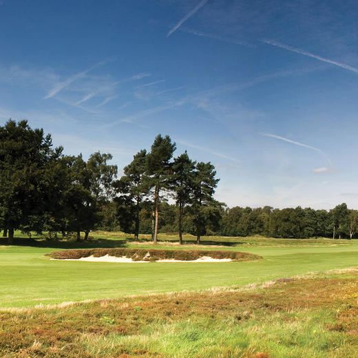沃顿希思高尔夫俱乐部 Walton Heath Golf Club | 伦敦高尔夫 | 英格兰高尔夫 | 英国高尔夫球场俱乐部 | 欧洲高尔夫 | 世界百佳 商品图3