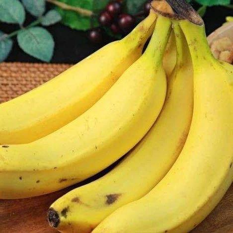 合作产品/ 生态香蕉 （ 青香蕉发货，收货后需要物理催熟） 商品图0