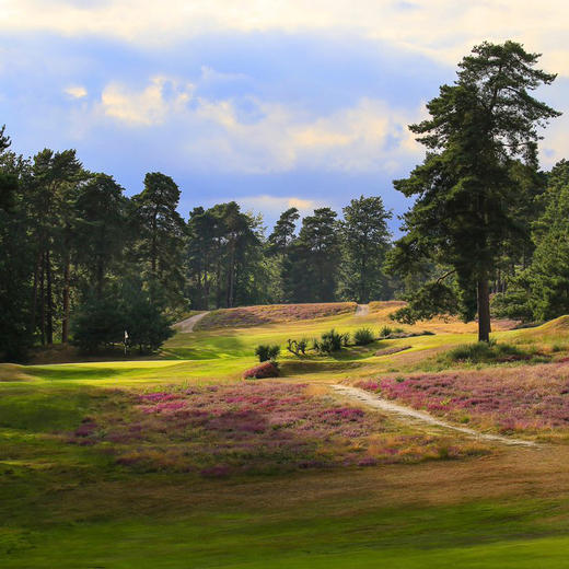 英格兰圣乔治山丘高尔夫俱乐部 St George's Hill Golf Club| 英国高尔夫球场 俱乐部 | 欧洲高尔夫  | 世界百佳 商品图1