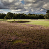 英格兰沃顿希思高尔夫俱乐部 Walton Heath Golf Club| 英国高尔夫球场 俱乐部 | 欧洲高尔夫  | 世界百佳 商品缩略图7