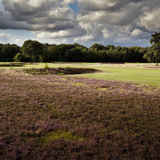 英格兰沃顿希思高尔夫俱乐部 Walton Heath Golf Club| 英国高尔夫球场 俱乐部 | 欧洲高尔夫  | 世界百佳 商品图7