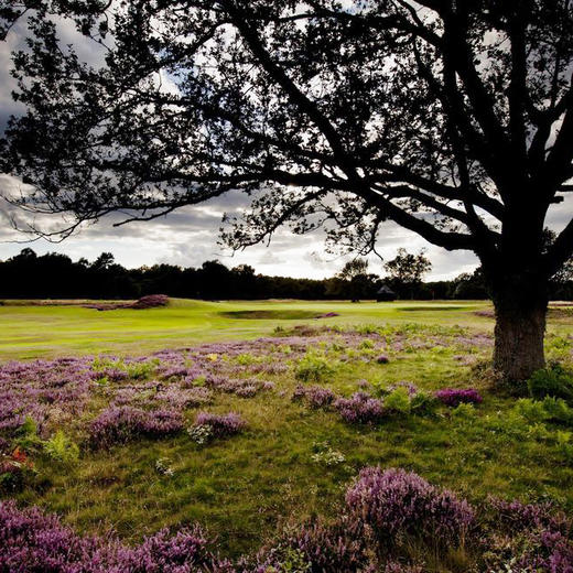 英格兰沃顿希思高尔夫俱乐部 Walton Heath Golf Club| 英国高尔夫球场 俱乐部 | 欧洲高尔夫  | 世界百佳 商品图1