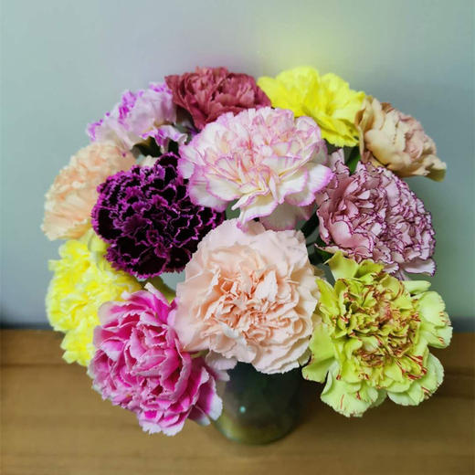 哥伦比亚进口康乃馨混色搭配10支