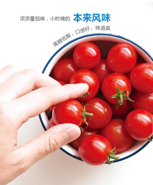 春沐源【高原七彩番茄】红绿双拼樱桃番茄圣女果沙拉解腻顺丰包邮 商品图2