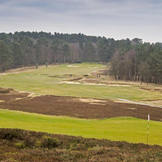 英格兰史温利森林高尔夫俱乐部 Swinley Forest Golf Club| 英国高尔夫球场 俱乐部 | 欧洲高尔夫  | 世界百佳 商品图1