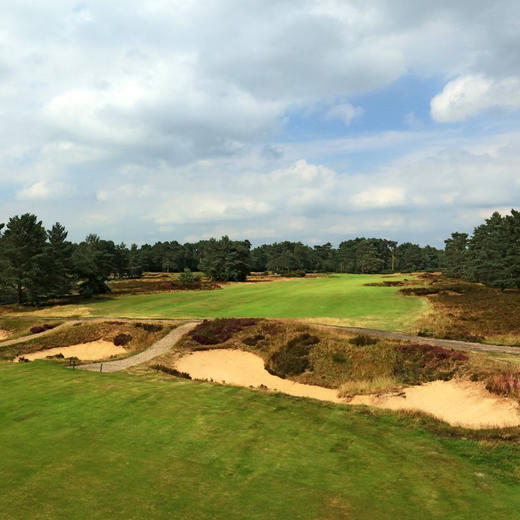 英格兰伍德霍尔斯帕高尔夫俱乐部 Woodhall Spa Golf Club| 英国高尔夫球场 俱乐部 | 欧洲高尔夫  | 世界百佳 商品图6