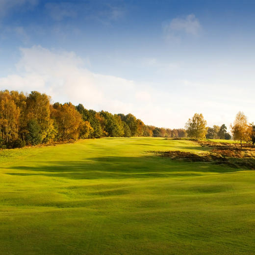 英格兰沃顿希思高尔夫俱乐部 Walton Heath Golf Club| 英国高尔夫球场 俱乐部 | 欧洲高尔夫  | 世界百佳 商品图6