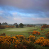 英格兰甘顿高尔夫俱乐部 Ganton Golf Club| 英国高尔夫球场 俱乐部 | 欧洲高尔夫  | 世界百佳 商品缩略图7