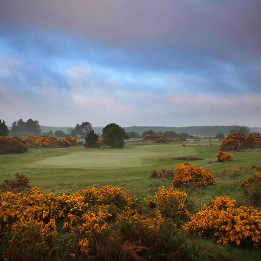 英格兰甘顿高尔夫俱乐部 Ganton Golf Club| 英国高尔夫球场 俱乐部 | 欧洲高尔夫  | 世界百佳 商品图7