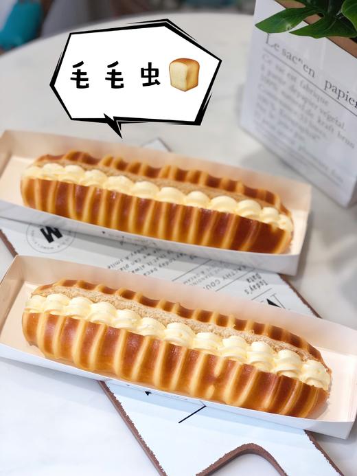 毛毛虫 商品图1