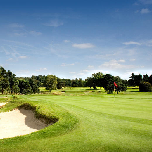 英格兰沃顿希思高尔夫俱乐部 Walton Heath Golf Club| 英国高尔夫球场 俱乐部 | 欧洲高尔夫  | 世界百佳 商品图0