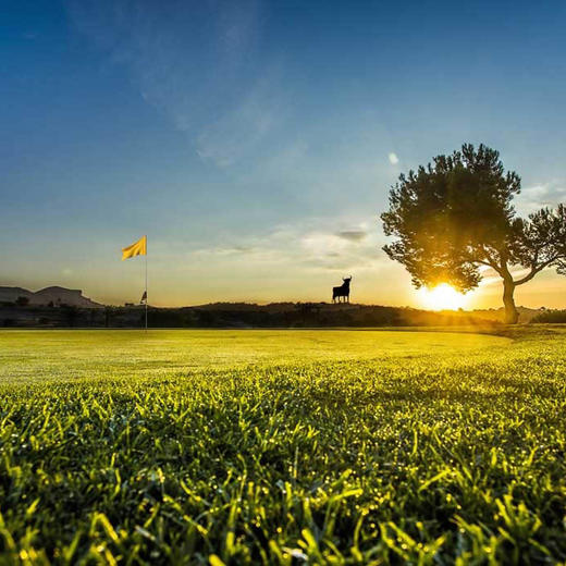 英格兰伍德霍尔斯帕高尔夫俱乐部 Woodhall Spa Golf Club| 英国高尔夫球场 俱乐部 | 欧洲高尔夫  | 世界百佳 商品图1