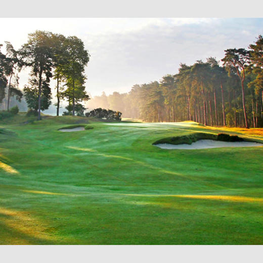 英格兰圣乔治山丘高尔夫俱乐部 St George's Hill Golf Club| 英国高尔夫球场 俱乐部 | 欧洲高尔夫  | 世界百佳 商品图2