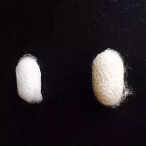 纯手工蚕丝被 | 天然优质蚕丝 桐乡手工制作 | 合作生产 | 基地直发 包邮 * Pure Handmade Silk Quilt 商品图2