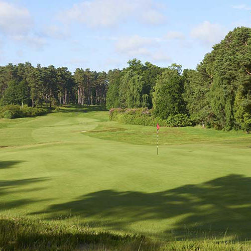 英格兰史温利森林高尔夫俱乐部 Swinley Forest Golf Club| 英国高尔夫球场 俱乐部 | 欧洲高尔夫  | 世界百佳 商品图3