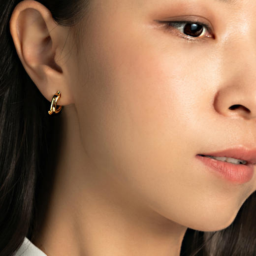 「 玉猪龙」耳饰 商品图1