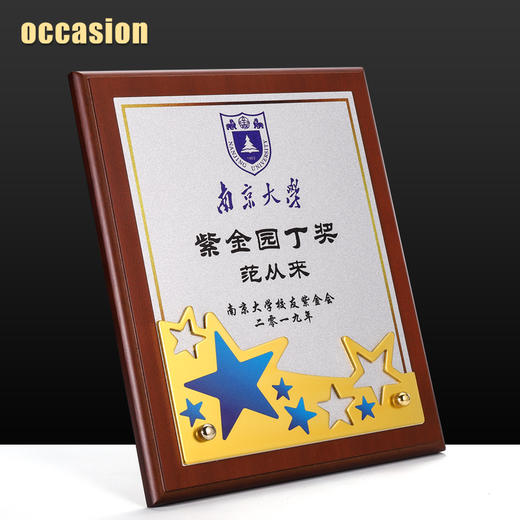 木质奖牌定制定做五角星金属授权牌创意高档荣誉证书加盟代理牌匾 商品图1