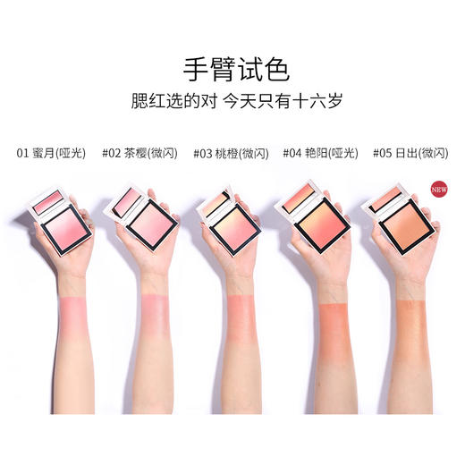 菲鹿儿渐变腮红 商品图2