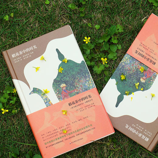 椴花茶中的时光 《追寻逝去的时光》主题笔记书 普鲁斯特 植物 全彩图文书 精致插图 详细注解 典雅精装 商品图2