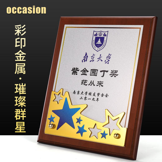 木质奖牌定制定做五角星金属授权牌创意高档荣誉证书加盟代理牌匾 商品图0