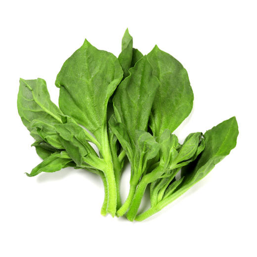 朴愿有机农场有机冰菜冰叶日中花水晶冰菜自带水珠的菜菜沙拉蔬400克