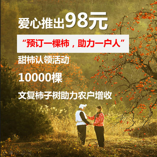 【文复甜柿】可以直接吃的柿子 单果3两以上 商品图1