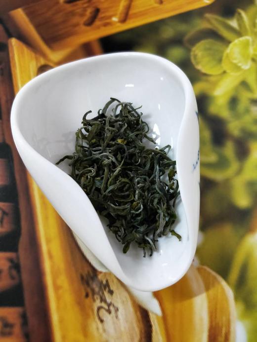 春茶祭第六期丨初恋白毫青茶绿茶丨100度水冲泡口感鲜香茶汤呈现青