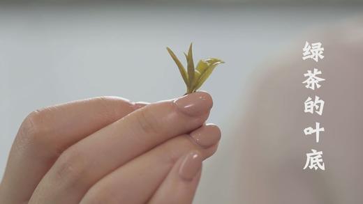 8、绿茶的叶底 商品图0