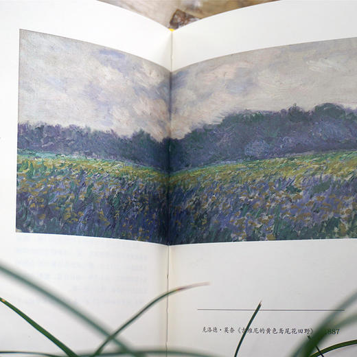 椴花茶中的时光 《追寻逝去的时光》主题笔记书 普鲁斯特 植物 全彩图文书 精致插图 详细注解 典雅精装 商品图1