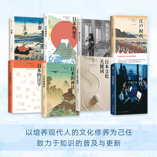 岩波新书精选（11册） 商品图5