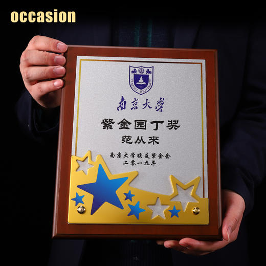木质奖牌定制定做五角星金属授权牌创意高档荣誉证书加盟代理牌匾 商品图2