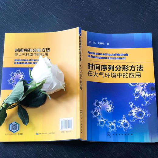 时间序列分形方法在大气环境中的应用 商品图4