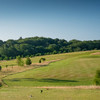英格兰西部苏塞克斯高尔夫俱乐部 West Sussex Golf Club| 英国高尔夫球场 俱乐部 | 欧洲高尔夫  | 世界百佳 商品缩略图3