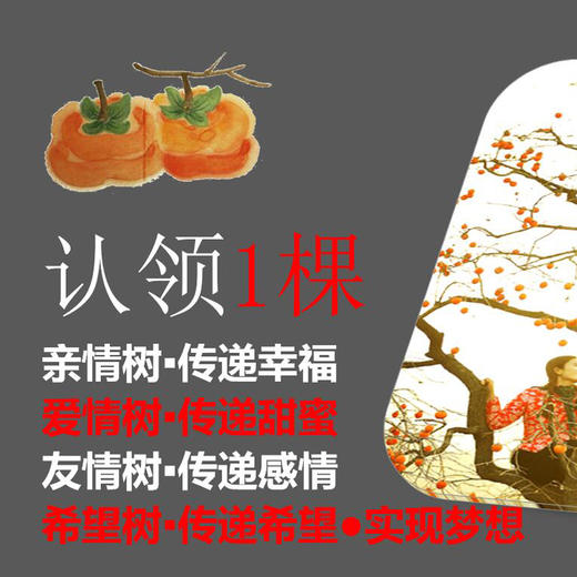 【文复甜柿】可以直接吃的柿子 单果3两以上 商品图7