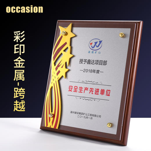 木质奖牌定制定做五角星金属荣誉授权牌证书颁奖创意高档木托牌匾 商品图0