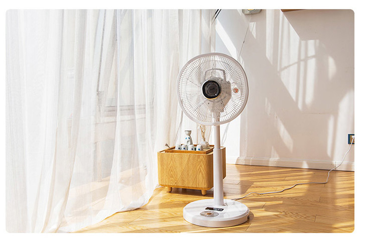 猫咪赖上它 这个夏天清凉的很自然 森田电风扇