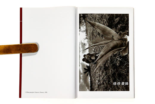 Sebastiao Salgado（Photofile) / 塞巴斯蒂昂·萨尔加多 口袋本（封面随机，以实际发货为准） 商品图2