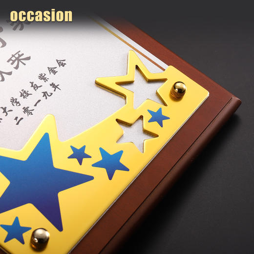 木质奖牌定制定做五角星金属授权牌创意高档荣誉证书加盟代理牌匾 商品图4