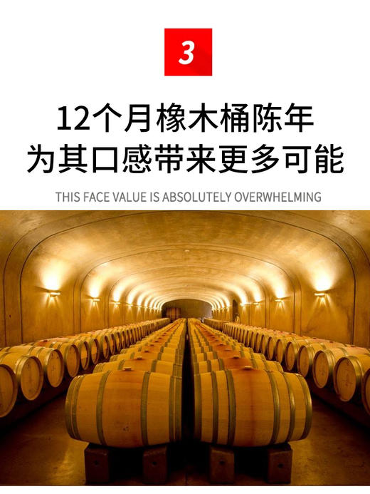 【浓郁饱满】葡萄牙紫北塞红葡萄酒 商品图3