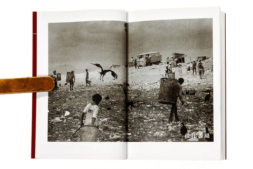 Sebastiao Salgado（Photofile) / 塞巴斯蒂昂·萨尔加多 口袋本（封面随机，以实际发货为准） 商品图4