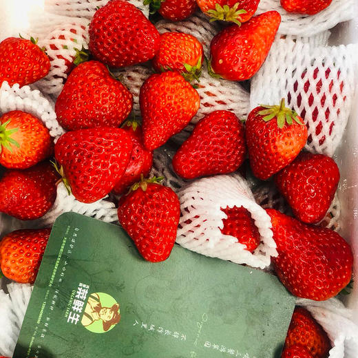 【限时福利59.99元/箱】【鸿翠园有机草莓】 商品图6