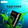 ANNABELLA安娜贝拉海藻蚕丝面膜- 黑金版（100345）（100026） 商品缩略图0