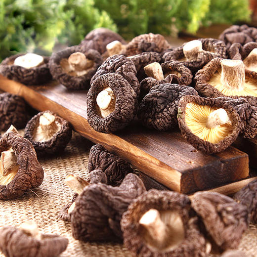 林源茂 壹品山珍套装 商品图3