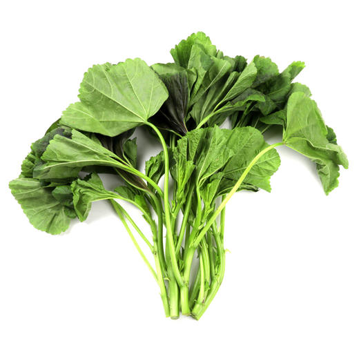朴愿有机农场 有机冬苋菜 冬寒菜 肥美嫩滑的口感 400克 商品图8