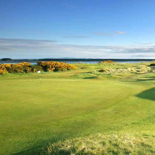 苏格兰圣安德鲁斯新球场 The New Course at St. Andrews Links| 英国高尔夫球场 俱乐部 | 欧洲高尔夫| 苏格兰 商品图1